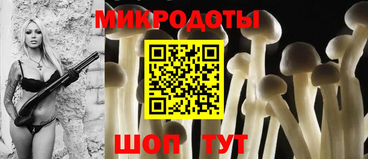 Галлюциногенные грибы ЛСД Лесозаводск